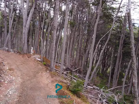 Terreno en Venta 66  mts Fondo