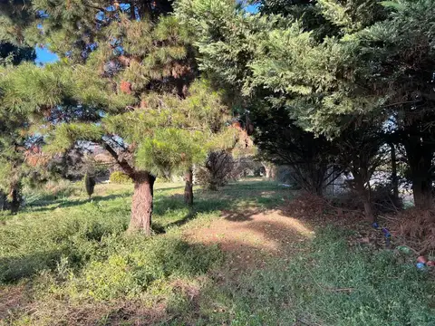VENTA TERRENO 3 HECTÁREAS EN MERLO