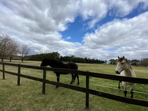 Barrio Cerrado | Terrenos