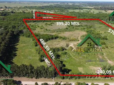 Campo 17,2HA - Terreno - Loma verde - Belen de Escobar - Calle Camino de las toscas y Los granaderos