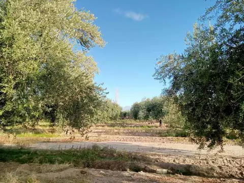 Ruta 60