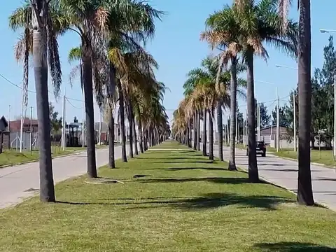 Terreno en Venta 36  mts Fondo