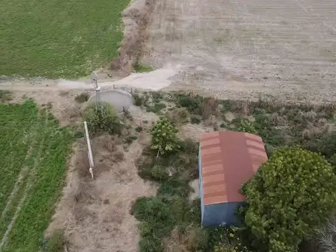 VENTA/ CAMPO/ AGRÍCOLA SUELO 1/ HUMBERTO PRIMO
