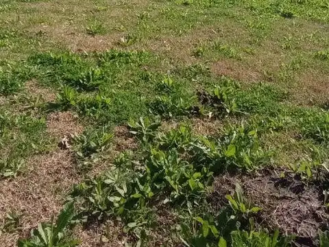 Terreno en Venta de 400,0 m2