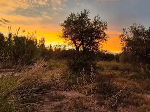 Terreno en Venta de 2000,0 m2