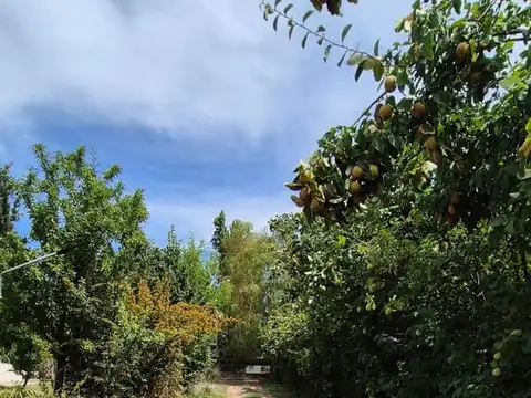 Vendo Lote en Coquimbito