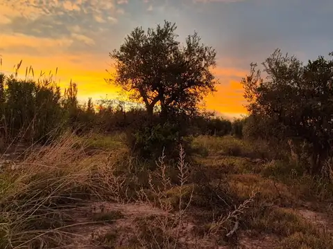 Vendo Lote en Coquimbito