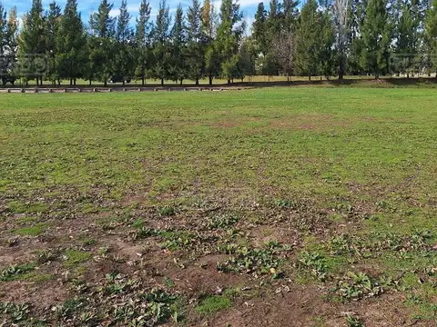 Terreno en Venta en Terravista, USD 234.000