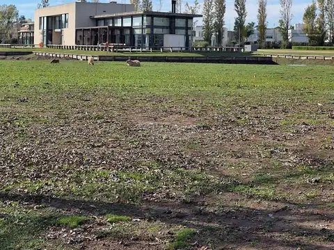 Terreno Lote  en Venta en Terravista, General Rodríguez, G.B.A. Zona Oeste