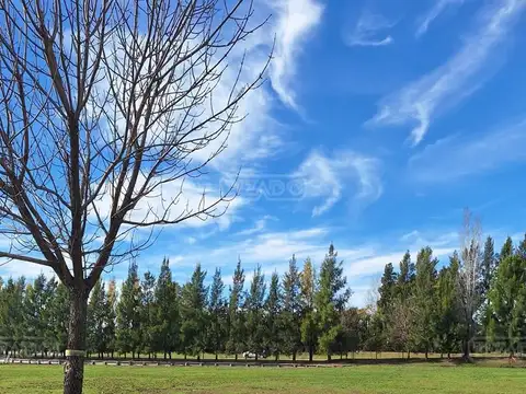 Terreno Lote  en Venta en Terravista, General Rodríguez, G.B.A. Zona Oeste