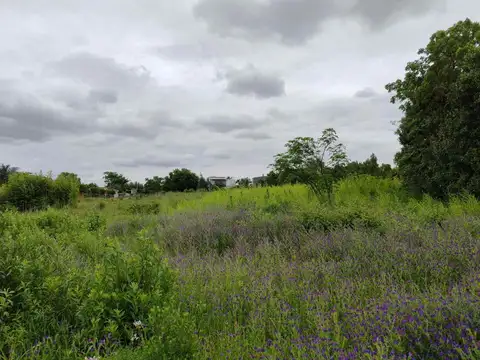 República de Bolivia