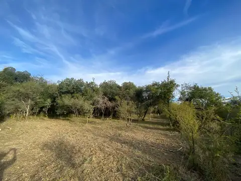 Terreno en Venta de 2500,0 m2