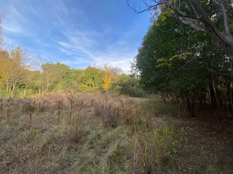 Lotes de 2500 m2 en Luyaba, Valle de Traslasierras