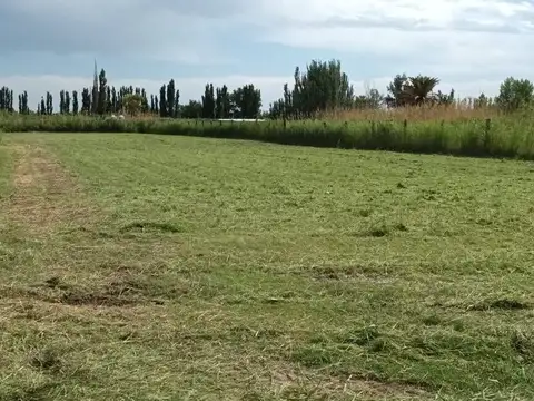 Terreno en Venta de 5000,0 m2