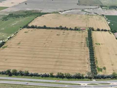Campo en Venta Agrícola