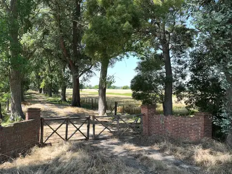 Campo sobre Ruta 8 (Autopista)