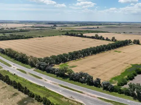 Campo en Venta Agrícola