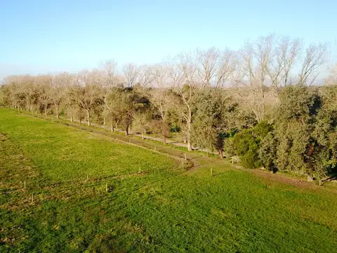 Campo en Venta Agricola