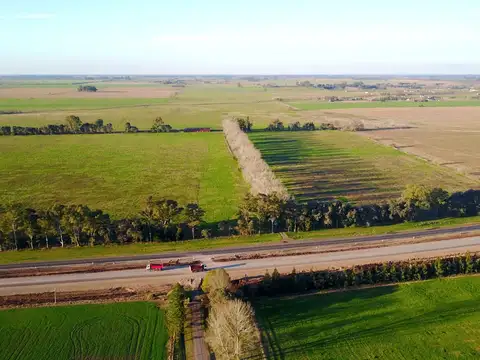 Campo sobre Ruta 8 (Autopista)