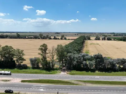 Campo sobre Ruta 8 (Autopista)