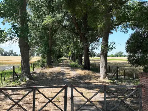 Campo en Venta con Alambrado