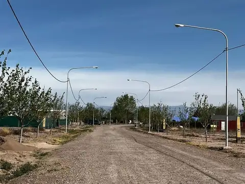 Barrio Las Margaritas 1000