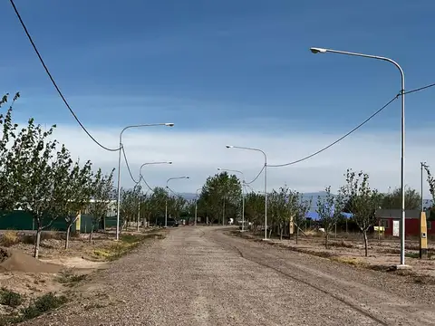 Barrio Las Margaritas 1000
