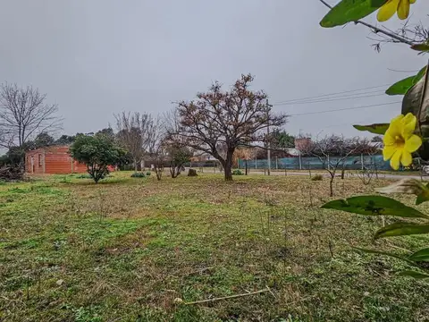 10 De Noviembre 400