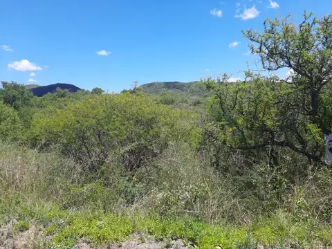 Terreno en Venta en Segunda Usina, USD 16.000