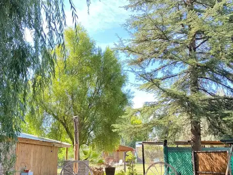 VENTA DE CASA + CABAÑA, TUNUYÁN, GRAN INVERSIÓN 