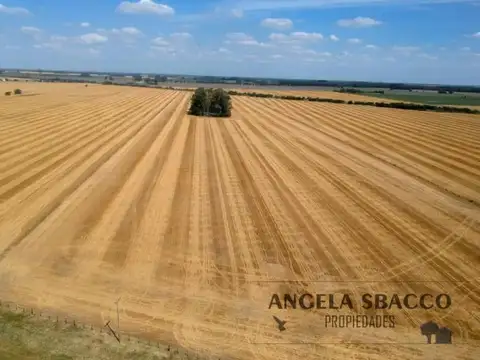 Campo en Solis.