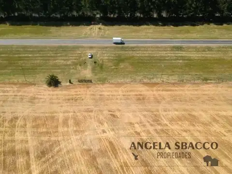 Campo en Solis.