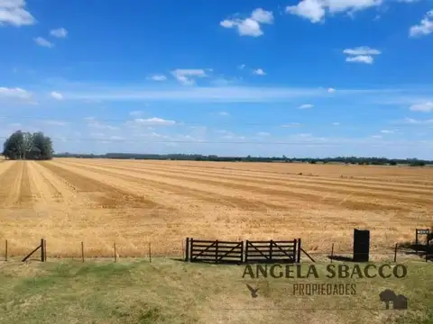 Campo en Solis.