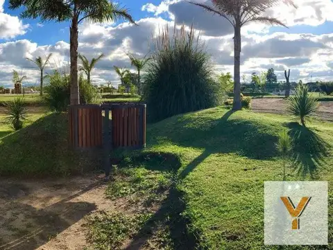 Campos De La Enriqueta