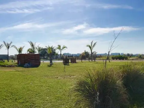 Campos De La Enriqueta