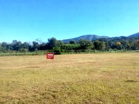 San Lorenzo 100