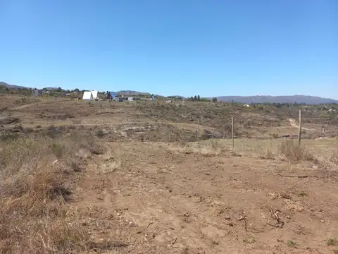 Viña del Mar 100