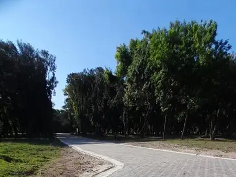 Ampere 200