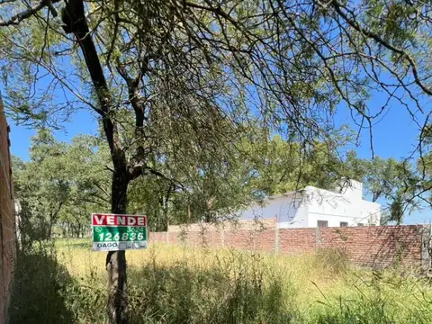 Av Guillermo Marconi 5600