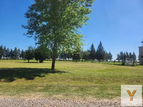Fincas de San Vicente