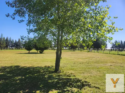 Fincas de San Vicente
