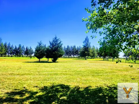 Terreno en Venta en Fincas de San Vicente, USD 37.500