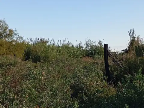 Terreno en Venta de 2002,0 m2