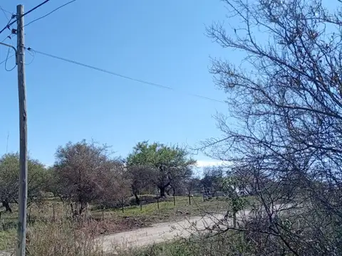 Los olmos (Lote 78)