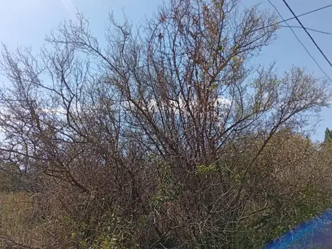 Terreno en Venta en Villa los Aromos, USD 24.900
