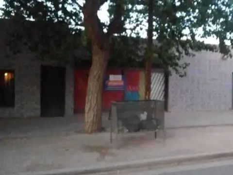 Vendo propiedad céntrica en Rincón de los Sauces.