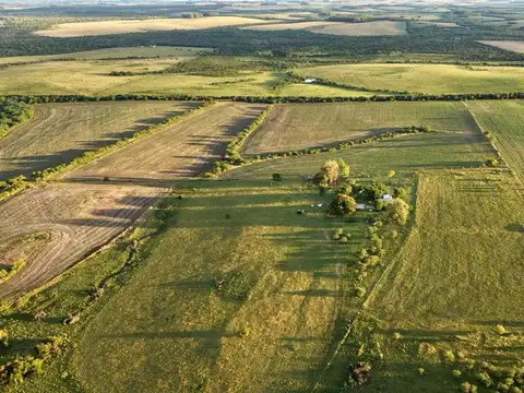 CAMPO 180 HAS. AGRICOLA GANADERO PAYSANDU