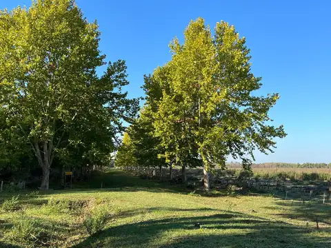 Terreno en  Luján