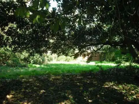 Terreno en Alquiler 82  mts Fondo