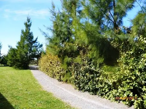 LOBOS.Espectacular-Complejo-de-11-Cabañas-a-200-mts-de-Laguna de Lobos.